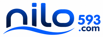 nilo593.com
